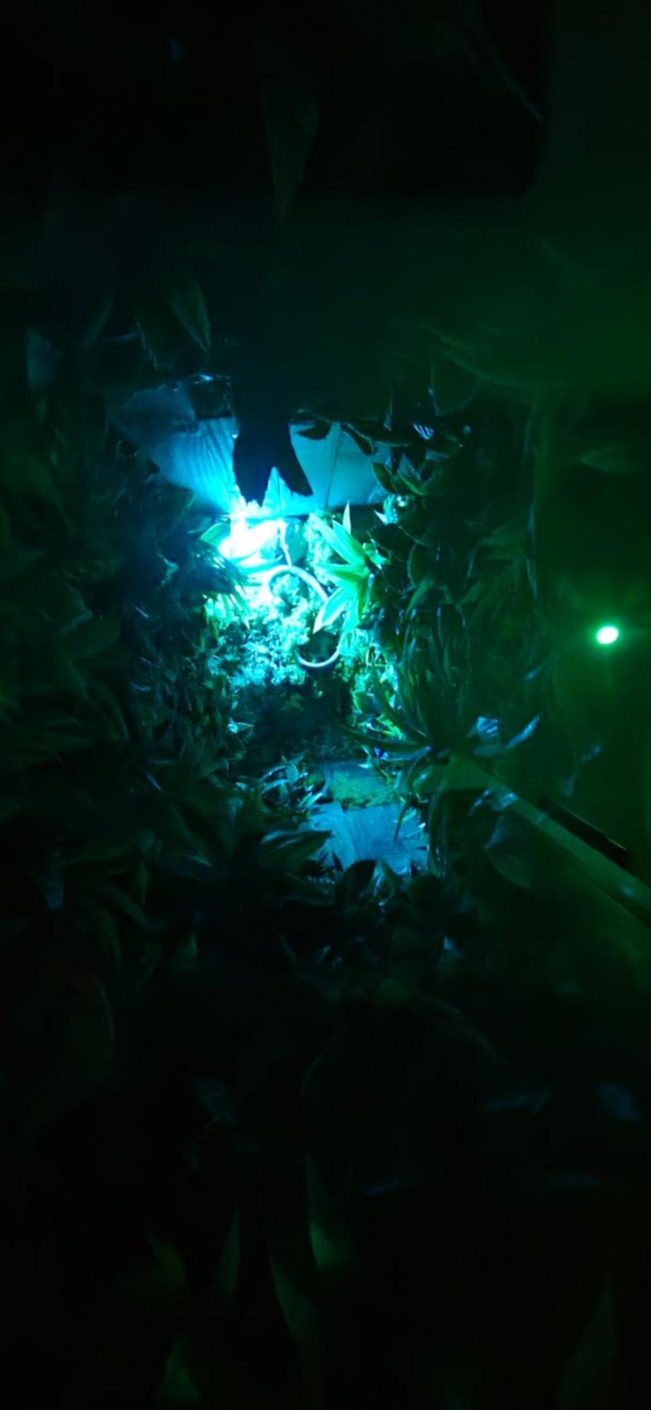 La Jungle Room Rognac Exteriör bild